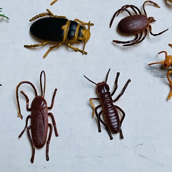 Insects Beetle Fly Weevil Mantis Spider Grasshopper 11 Pieces 2in Vintage 1989 - Picture 2 of 9